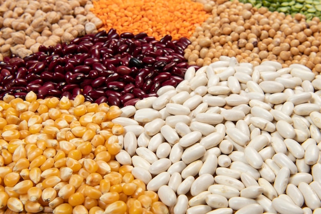 Porties van verschillende soorten granen en droge eetbare zaden. Voorbeelden van vezelbronnen, selectieve focus
