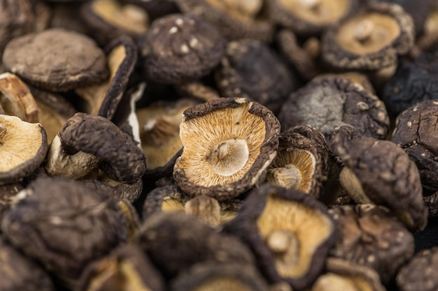 Portion of Dried Shiitake