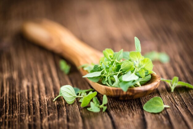 Portion of fresh Oregano