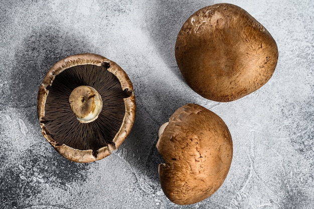 Portobello. Farm organic food. Gray background. Top view