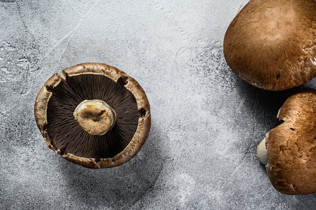 Portobello. alimenti biologici agricoli sfondo grigio. vista dall'alto