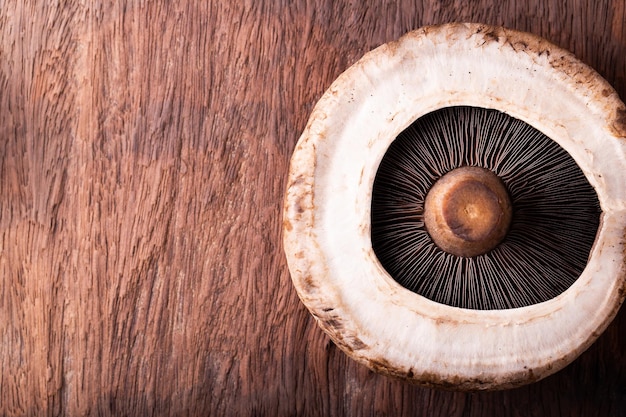 portobello schiet over oude houten achtergrond als paddestoelen uit de grond