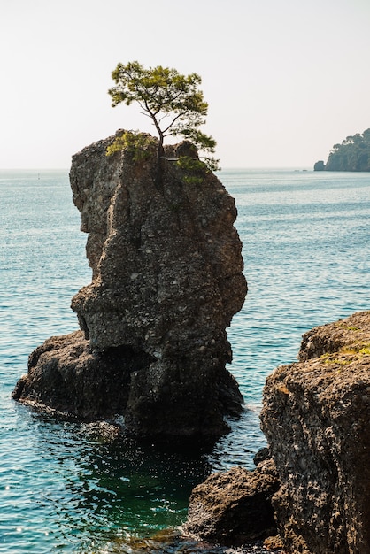 イタリアのリグーリア海岸のポルトフィーノ村