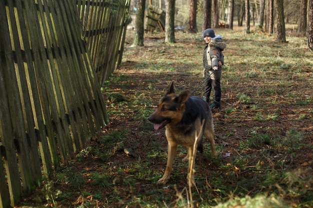 大きな犬と一緒に歩いている微笑む少年の肖像画は森のジャーマン・シェパードを繁殖させます。