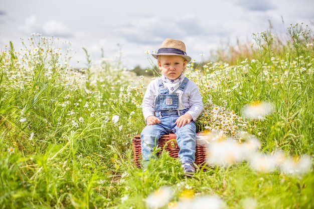 Портрет очаровательного ребенка с цветами в ромашковом поле
