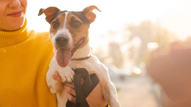 Portrait of adorable little dog