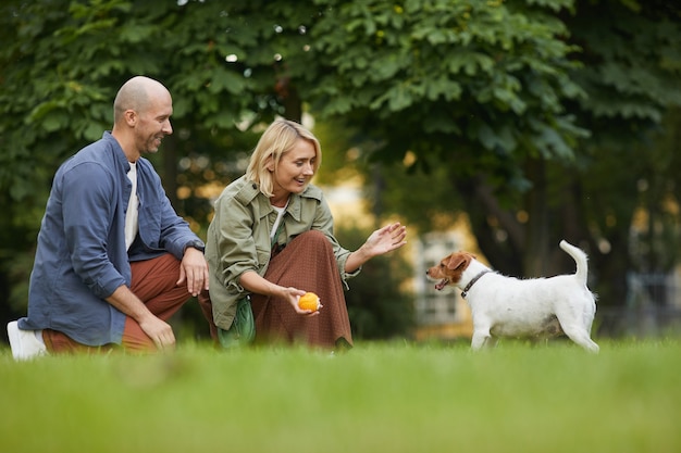 Portrait of adult couple playing with dog in park, focus on smiling woman holding ball to Jack Russel Terrier