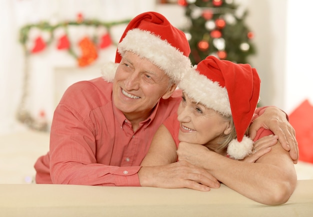 Portrait of amusing old couple  at Christmas