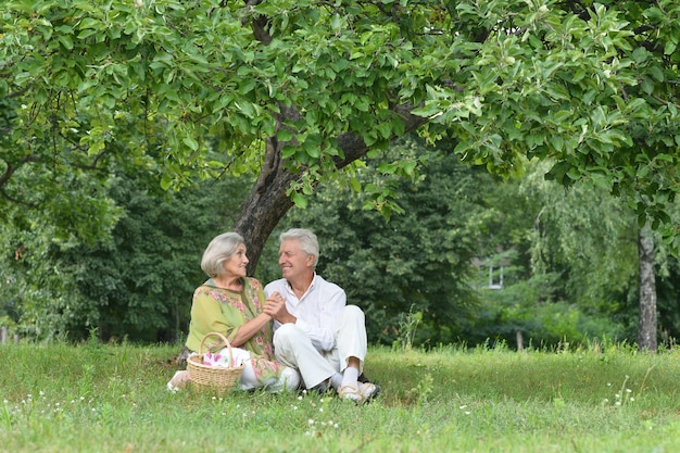 ピクニックで面白い老夫婦の肖像画