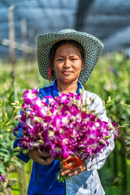 Portrait asian gardener of orchid gardening farm