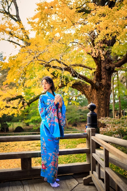 Портрет азиатской женщины нося японское голубое кимоно в парке на сезоне осени в Японии