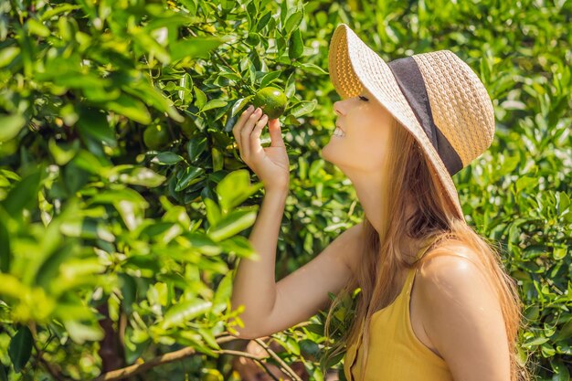 魅力的な農家の女性の肖像画は、庭の農業とプランテーションのコンセプトでオレンジを刈り取りながら、幸福の感情で有機農場の陽気な女の子にオレンジを収穫しています