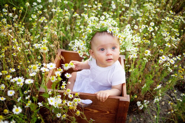 Portrait of a baby girl 7 months old sitting on a chamomile field in a wreath in a white dress, a healthy walk in the fresh air