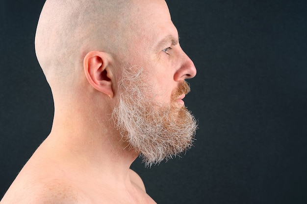 Portrait of a bearded and bald man in profile