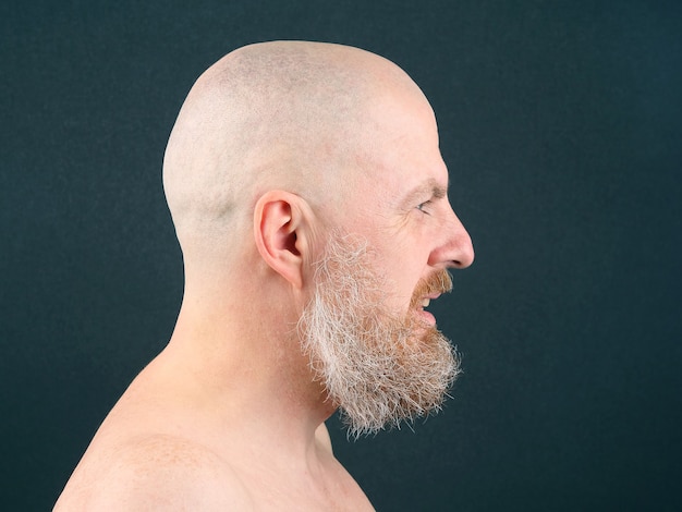 Portrait of a bearded and bald man in profile