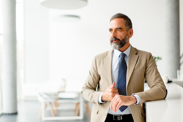 Portrait of bearded handsome middle-aged businessman in office