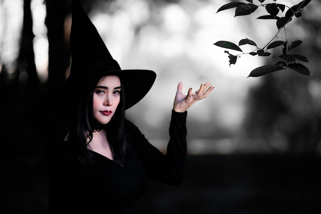 美しいアジアのセクシーな女性の肖像画は、ほうきで黒魔女の衣装を着ていますハロウィーンフェスティバルのコンセプト