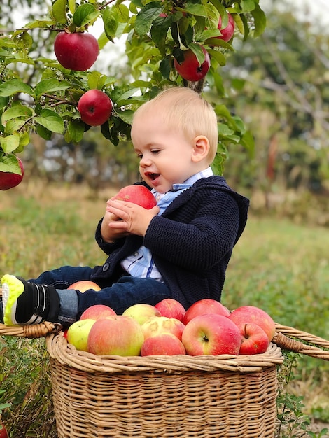 Portrait of beautiful baby boy eating apple on the lawn