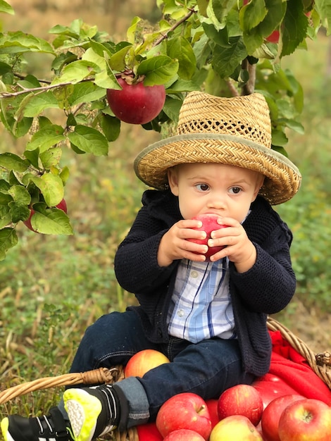 Portrait of beautiful baby boy eating apple on the lawn