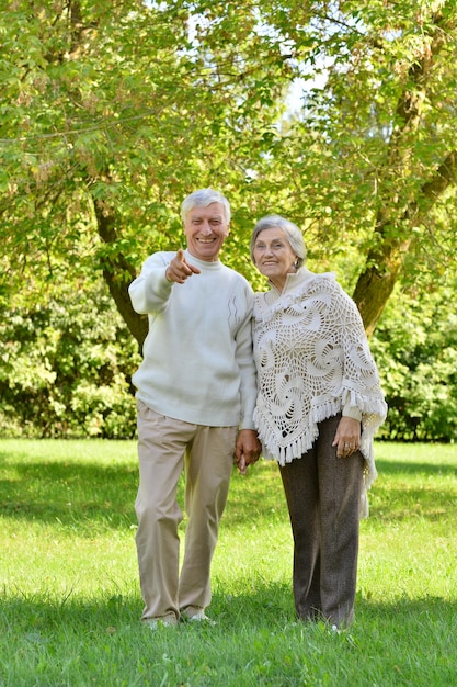 Portrait of beautiful caucasian senior couple walking in park Man pointing with finger