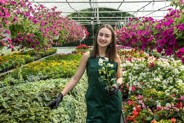 Portrait of a beautiful florist woman posing in a greenhouse with flowers. Springtime