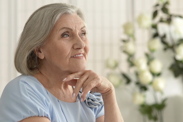 Portrait of beautiful  old woman  at home