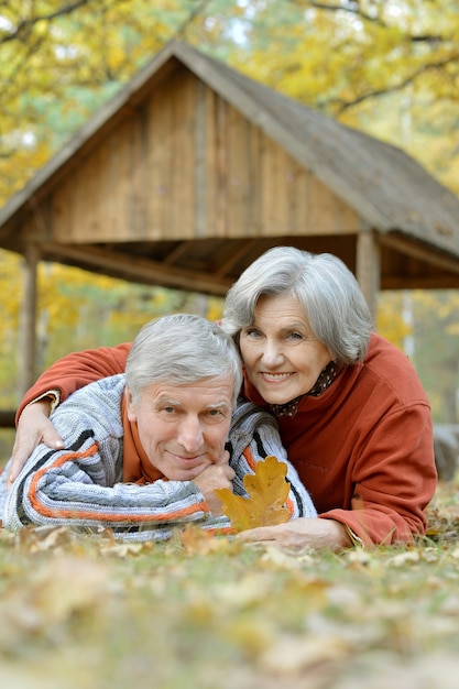 Portrait of a beautiful Senior couple in autumn park