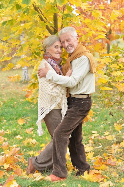 Portrait of beautiful senior couple hugging in the autumn park