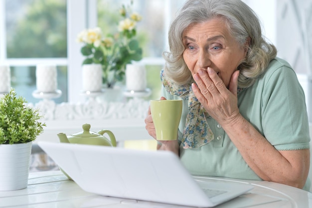 Portrait of beautiful senior woman sitting at table with laptop