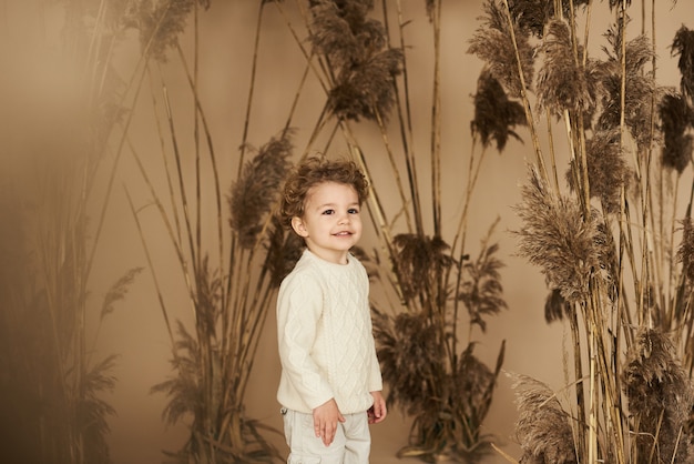 Portrait of a beautiful smiling boy in a reed on a beige surface