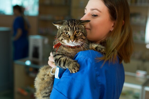 Ritratto di un bellissimo veterinario tenendo il giovane gatto in clinica.