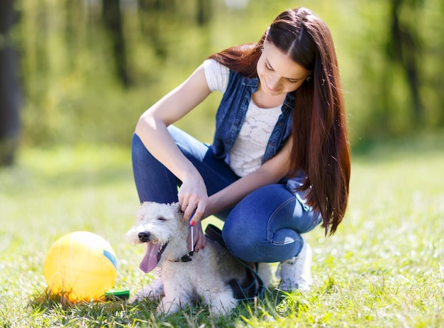 彼女の犬を屋外でとかす美しい女性の肖像画