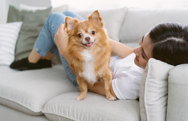 Photo portrait of beautiful young asian woman lying on sofa with brown pretty chihuahua pet dog looking at camera in living room of her cozy house people and dogs pets adoption friendly concept