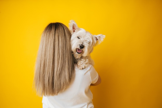 Portrait of a beautiful young girl with a dog in her arms on a yellow background the girl hugs her pet west highland white terrier copy space
