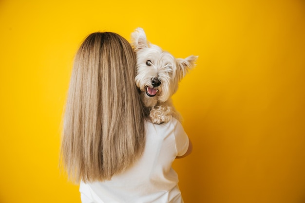 Portrait of a beautiful young girl with a dog in her arms on a yellow background the girl hugs her pet west highland white terrier copy space