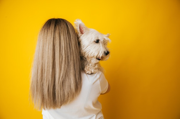 Portrait of a beautiful young girl with a dog in her arms on a yellow background the girl hugs her pet west highland white terrier copy space