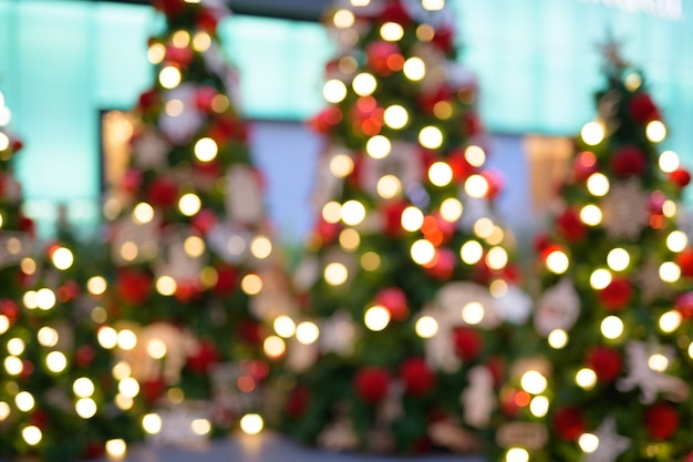 Portrait of blurred Christmas trees with illuminating lights outdoors as Christmas concept