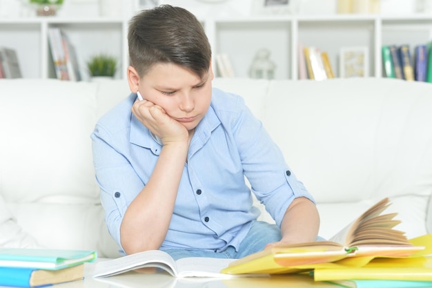 Portrait of a boy doing homework at home