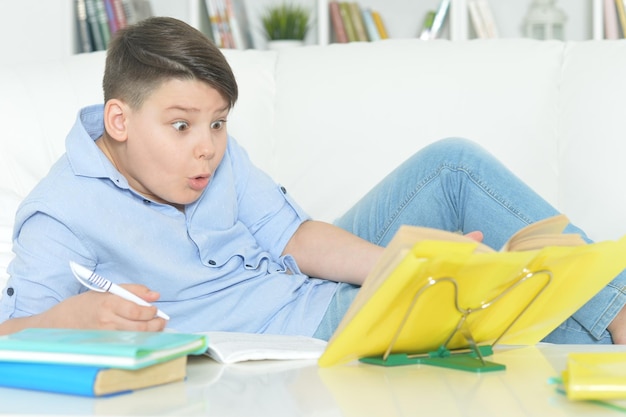 Portrait of a boy doing homework at home