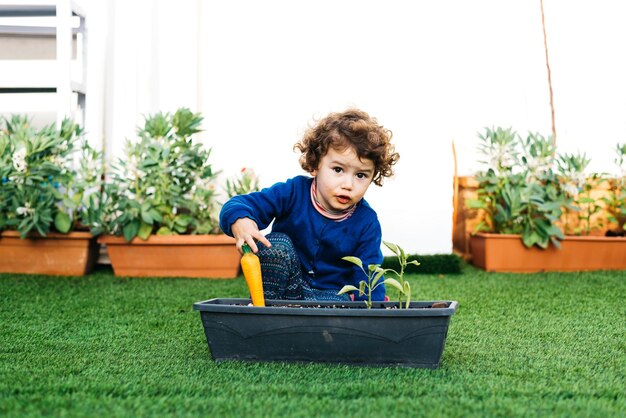 Portrait of boy sitting on grass