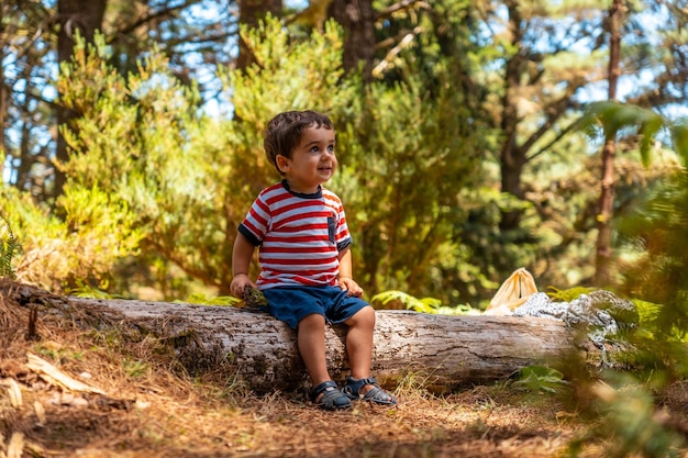 Portrait of a boy sitting on a tree in nature next to pine trees in autumn Madeira Portugal