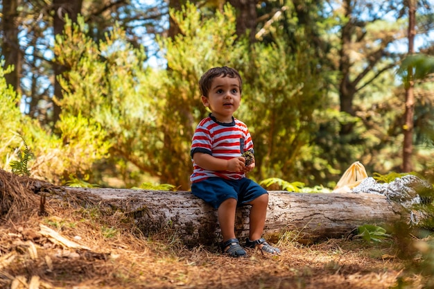 Portrait of a boy sitting on a tree in nature next to pine trees in spring Madeira Portugal