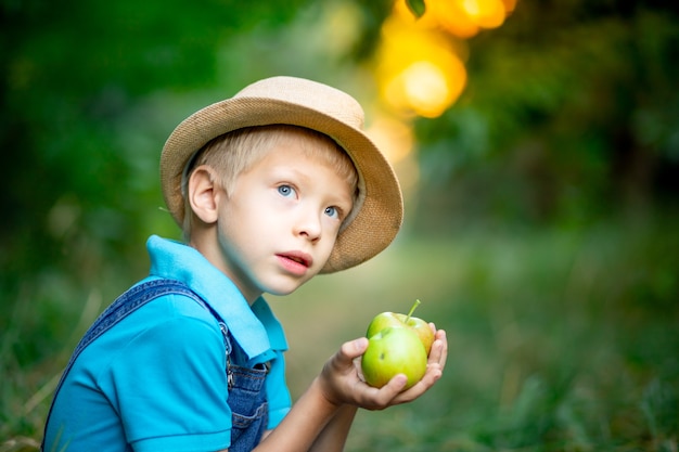 Portrait of a boy six years old in an Apple orchard and holding apples