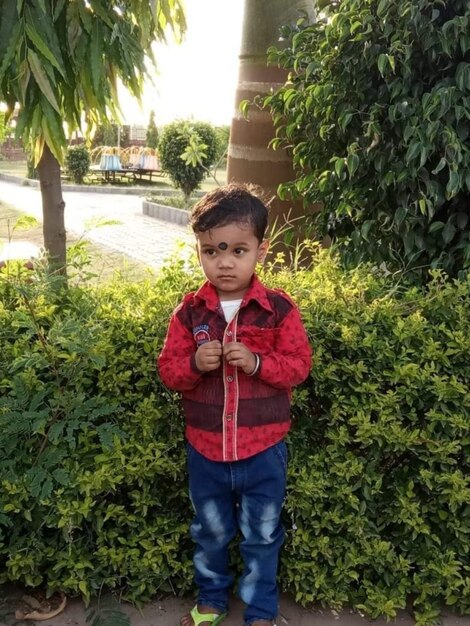 Portrait of boy standing against plants