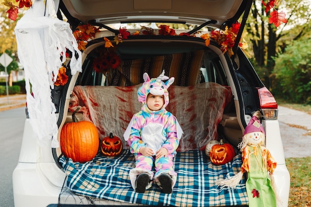 Photo portrait of boy with pumpkins in market during halloween