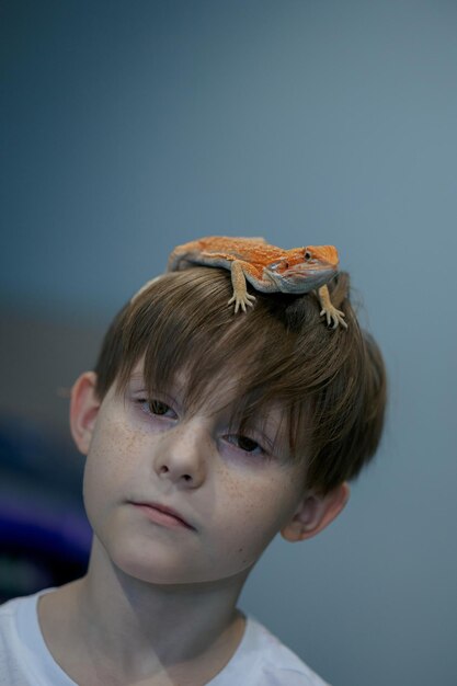 Photo portrait of boy with red bearded agama iguana on gray background little child playing with reptile