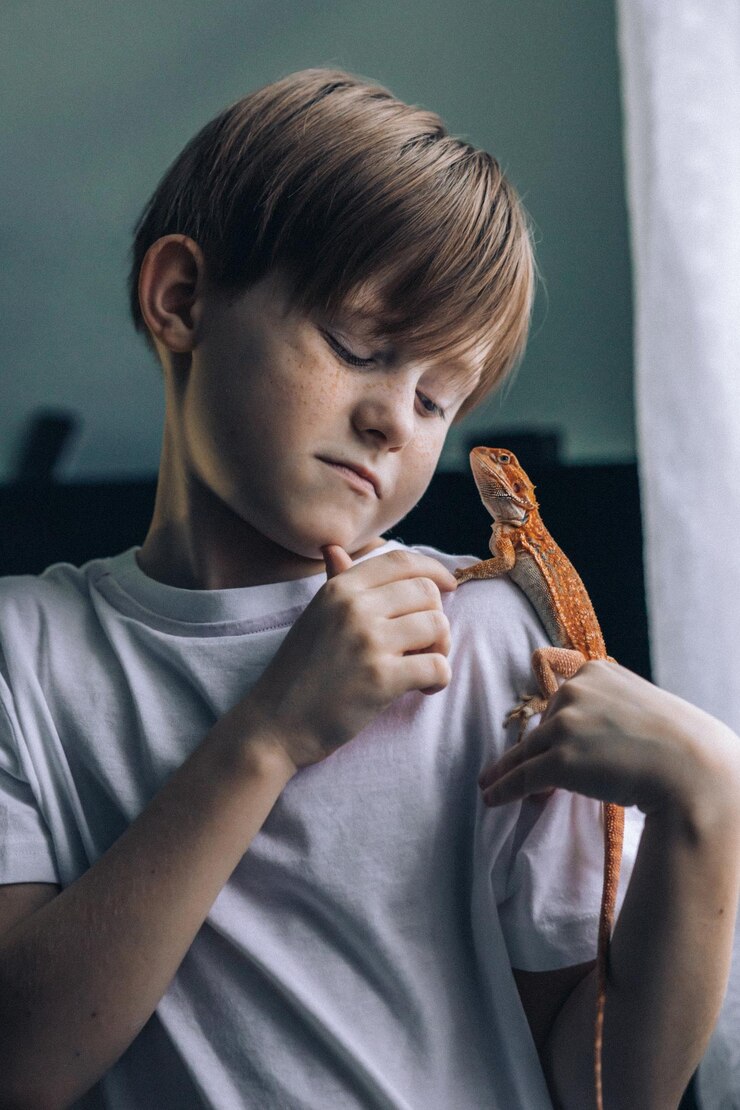 赤いひげのアガマイグアナの男の子の肖像画 小さな子供が爬虫類の選択的な焦点で遊んでいます