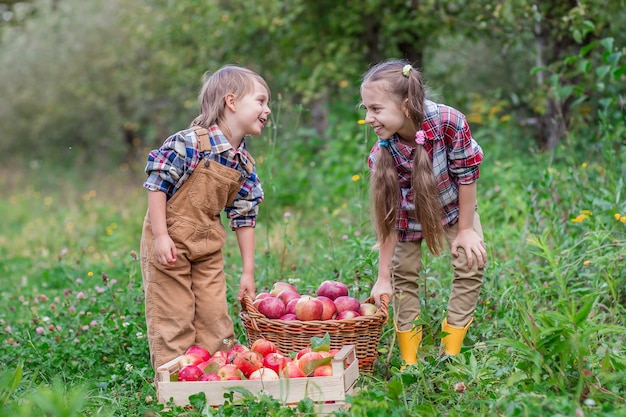 Портрет брата и сестры в саду с красными яблоками в руках.