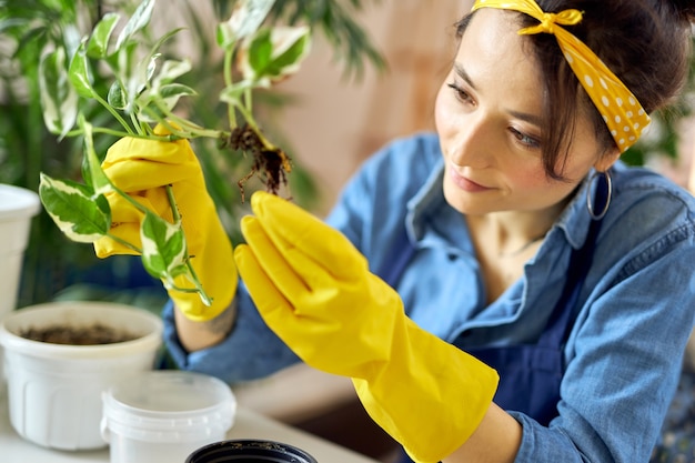 집에 있는 새 냄비에 식물을 이식하는 동안 고무 장갑을 끼고 식물을 들고 있는 돌보는 여성의 초상화