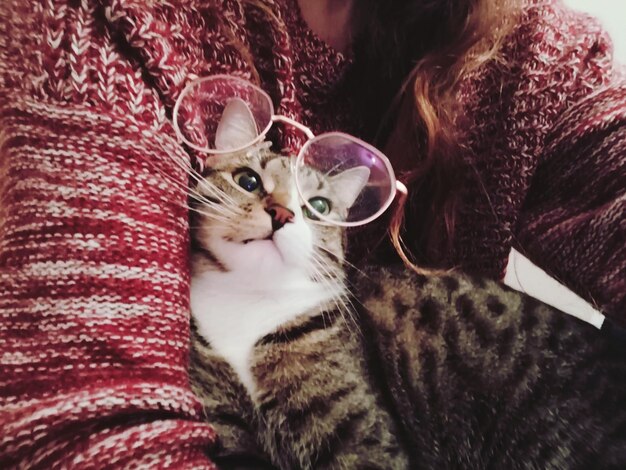 Portrait of cat relaxing on bed with glasses